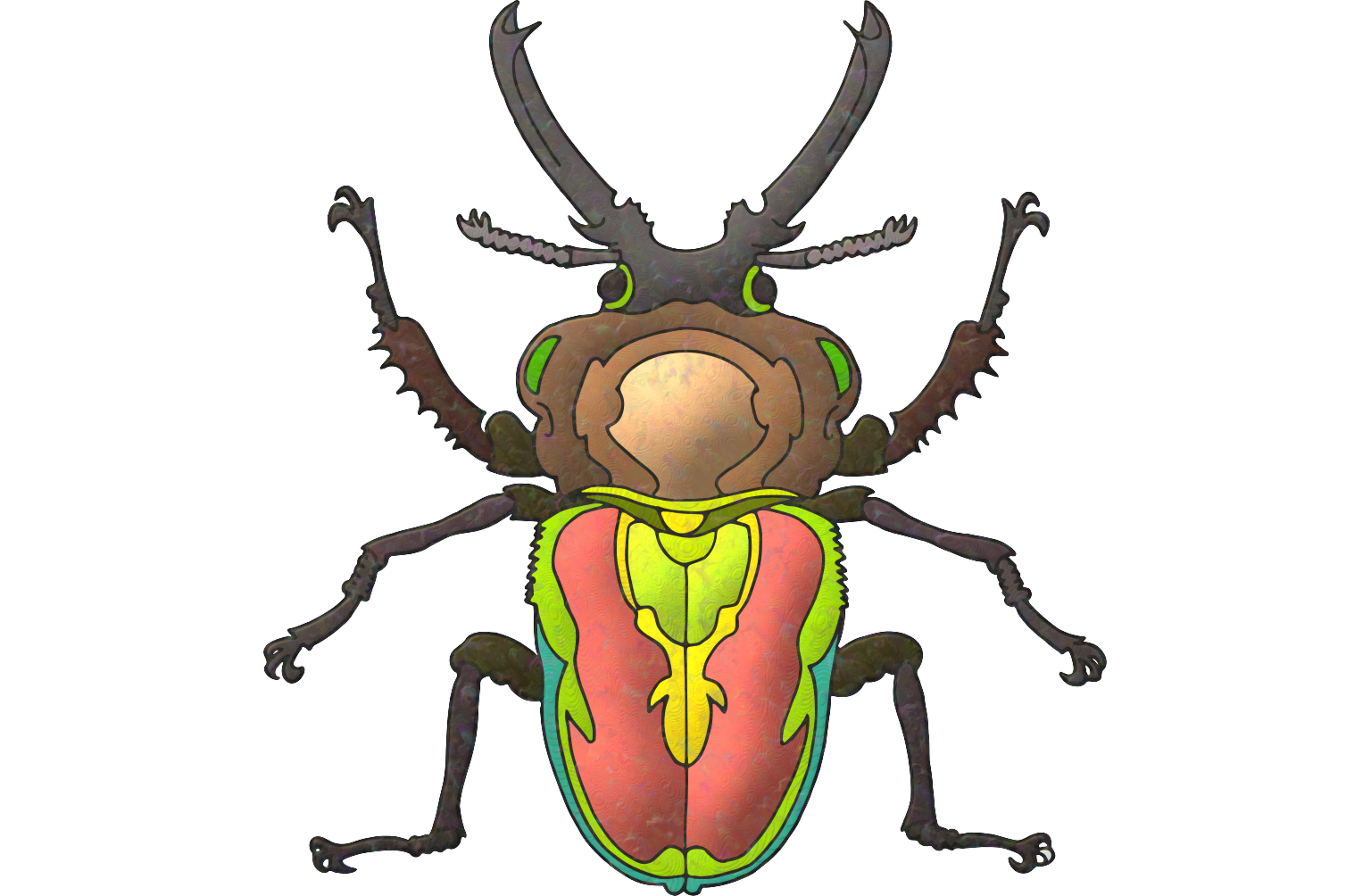 A male rainbow stag beetle palewise proper.